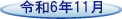 ߘa6N11